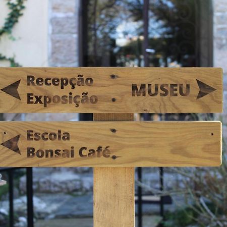 Zen Guest House - Museu Do Bonsai Sintra Exterior foto